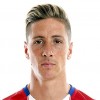 Fernando Torres matchtröja
